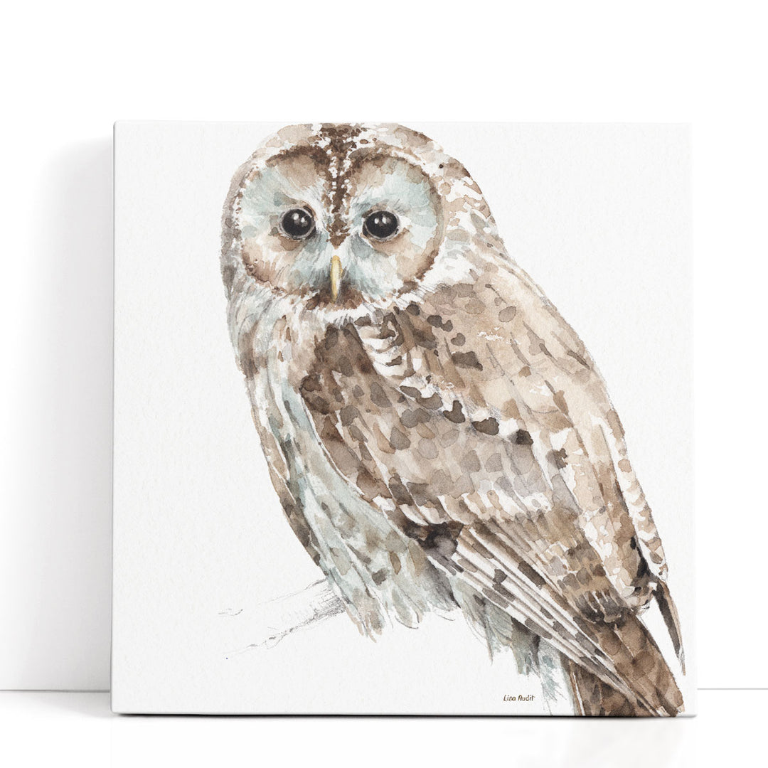 Forest Friends III - Canvas Print Wall Art