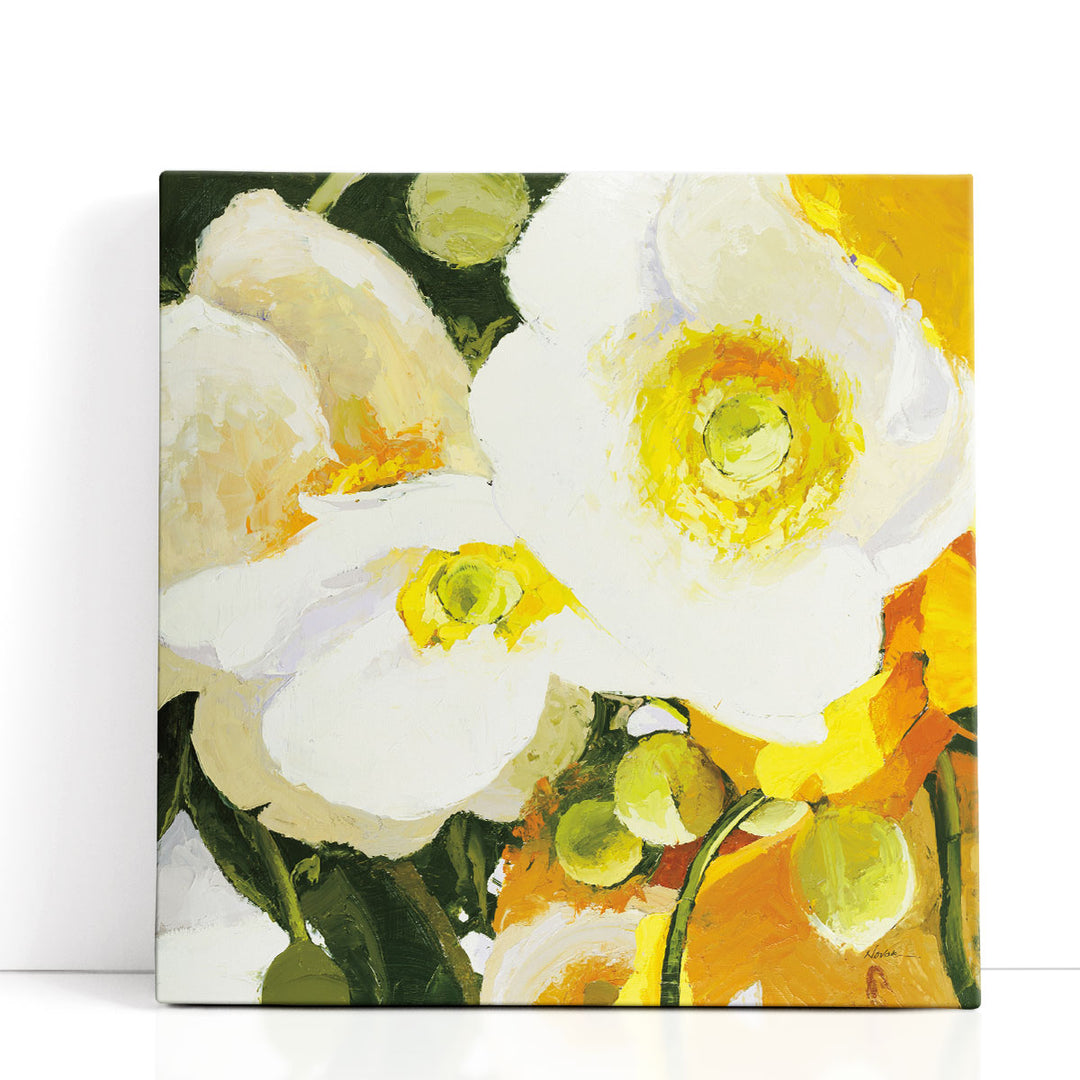 White Anemones Up Close - Canvas Print Wall Art