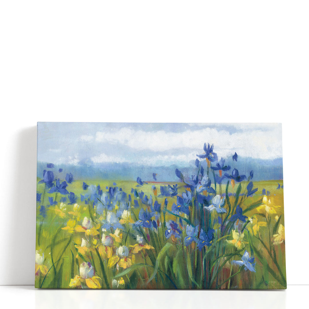 Blue and Yellow Flower Field - Canvas Print Wall Art