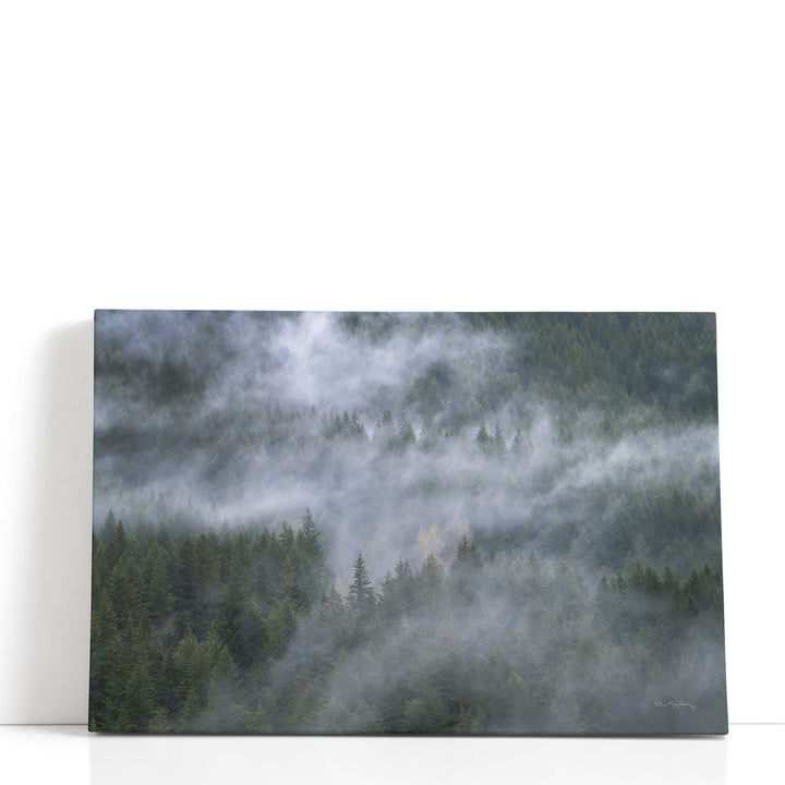 Misty mountain canvas art with forested ridges