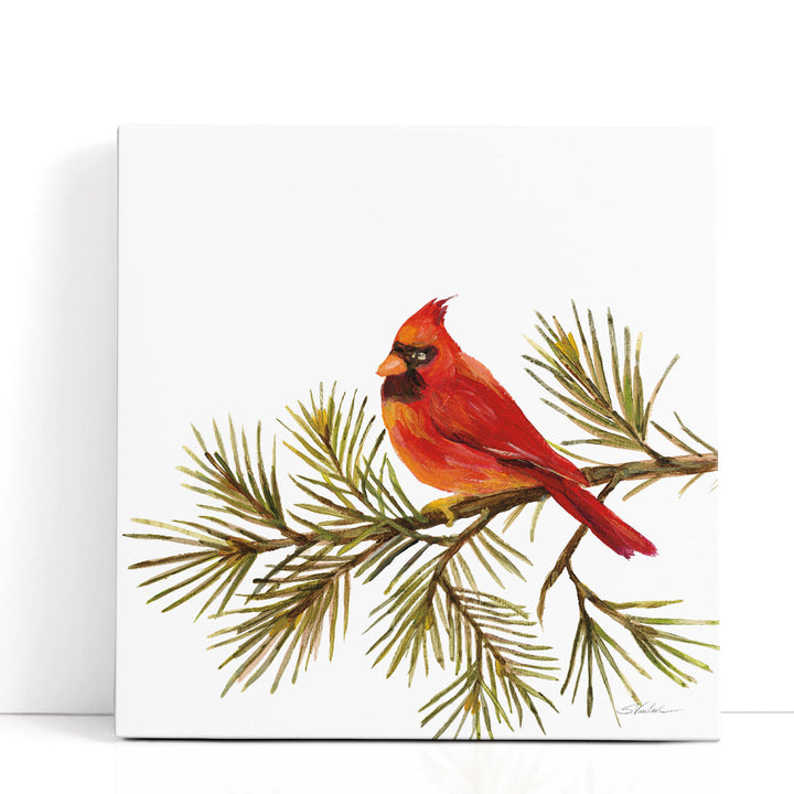 Cardinal Christmas V - Canvas Print Wall Art