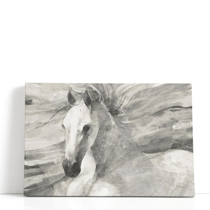 Poseidon Black and White - Canvas Print Wall Art