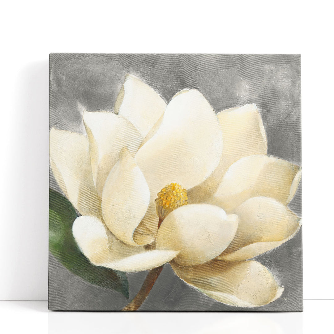 Magnolia Blossom - Canvas Print Wall Art