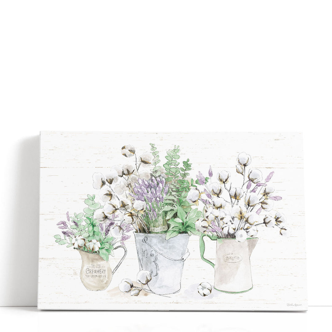 Farmhouse Cotton I - Canvas Print Wall Art