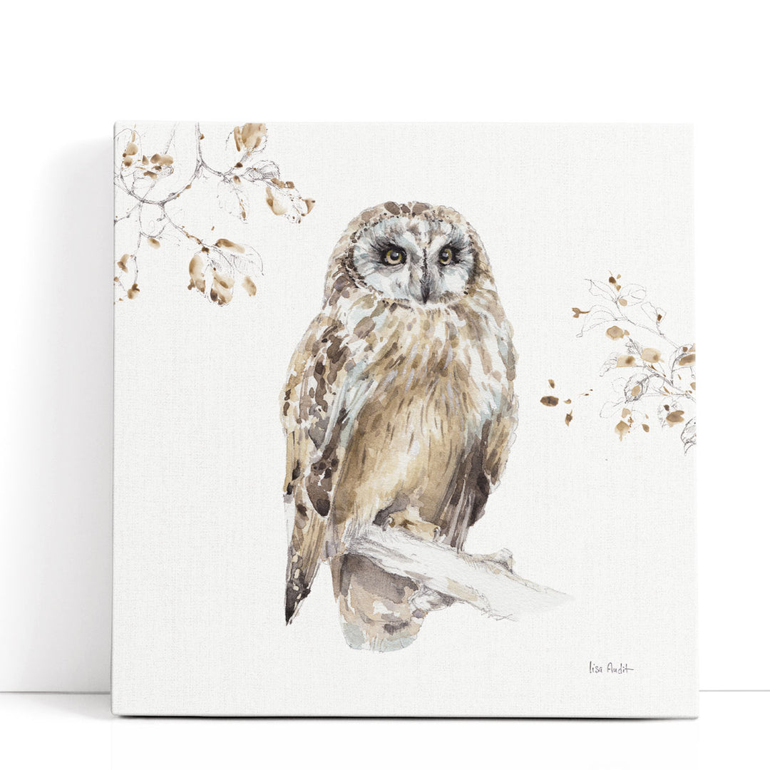 A Woodland Walk VIII - Canvas Print Wall Art
