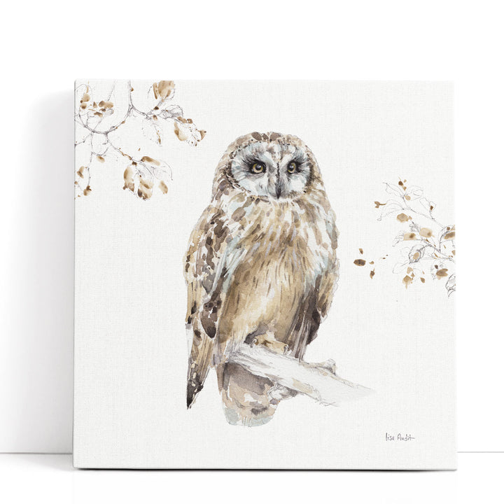 A Woodland Walk VIII - Canvas Print Wall Art