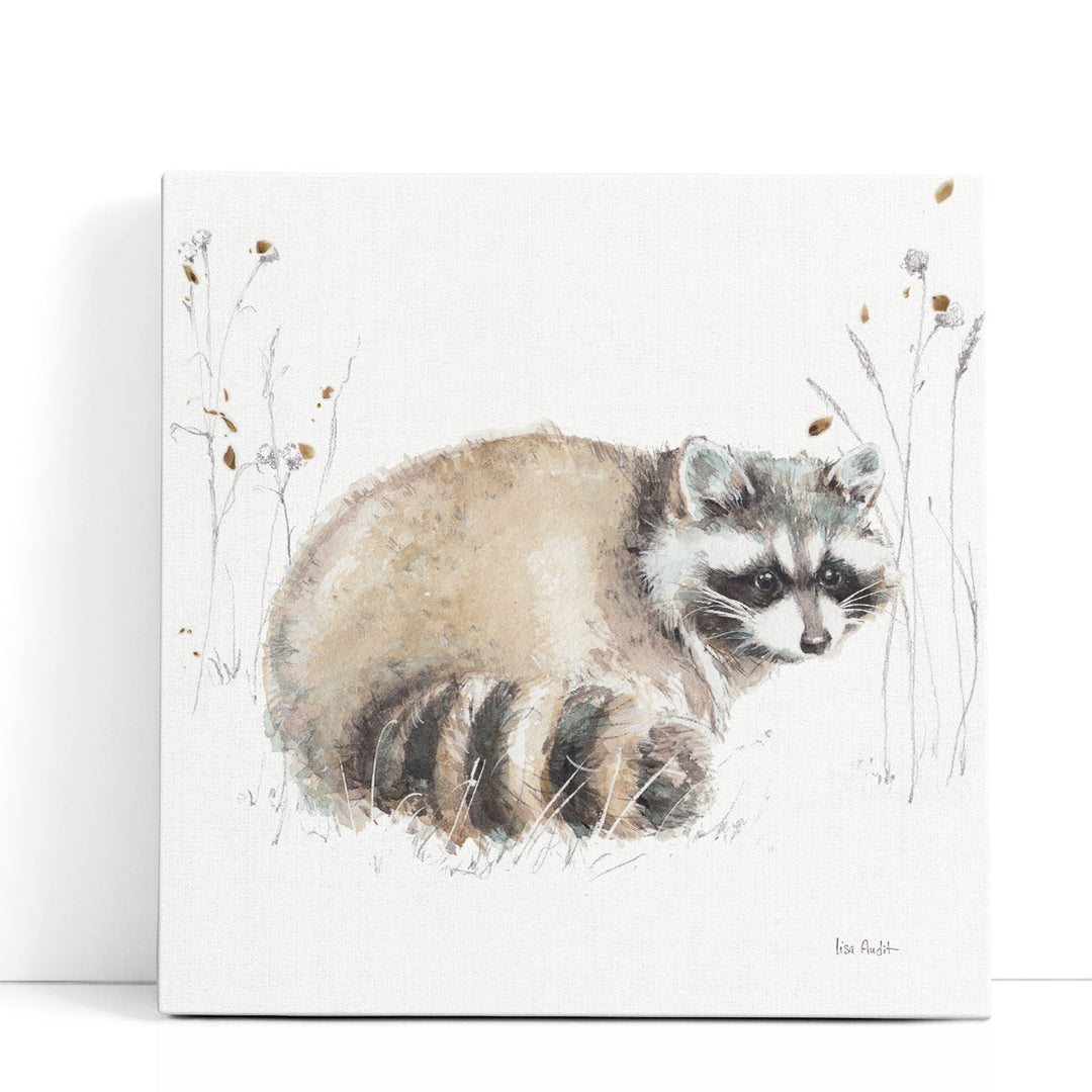 A Woodland Walk X - Canvas Print Wall Art