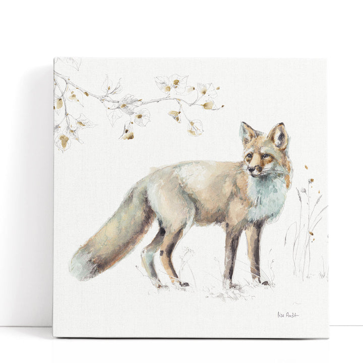 A Woodland Walk XI - Canvas Print Wall Art