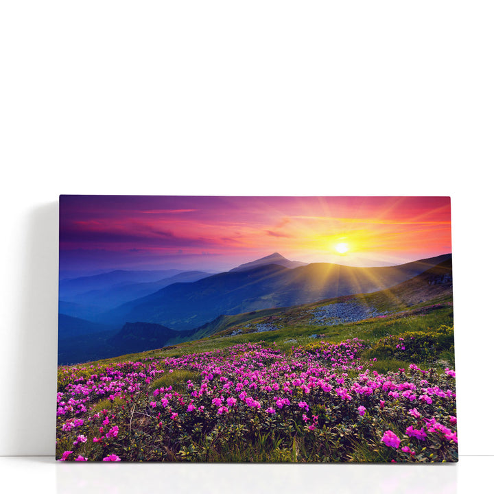 Rhododendron flower wall decor, misty morning bloom