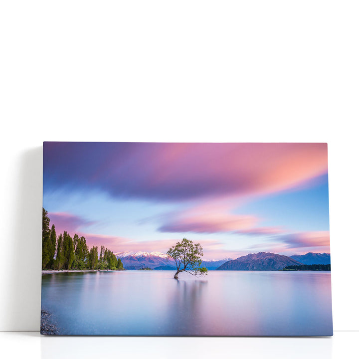 That Wanaka Tree At Sunrise - Canvas Print Wall Art