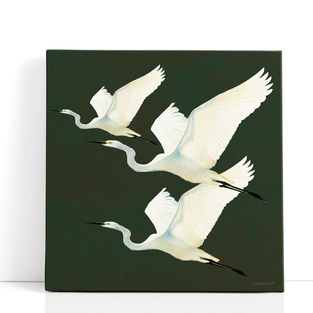 Egrets Alighting II - Canvas Print Wall Art