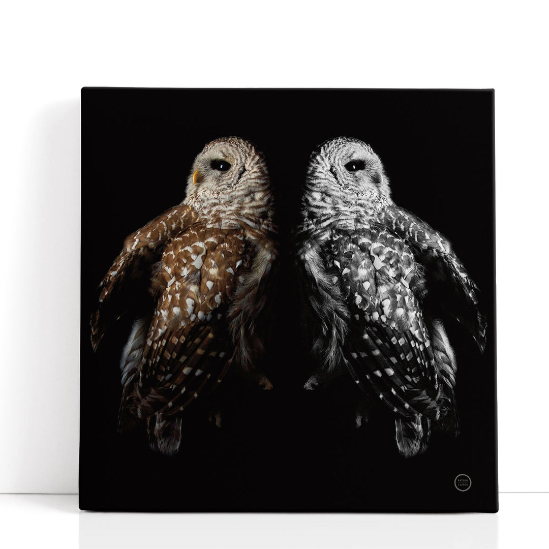 Still a Life - Canvas Print Wall Art