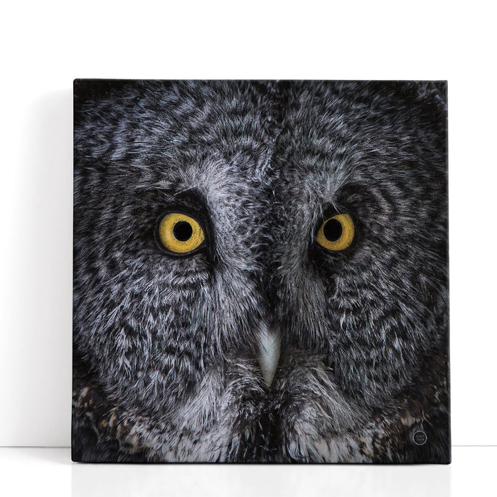 Great Grey Owl- Canvas Print Wall Art