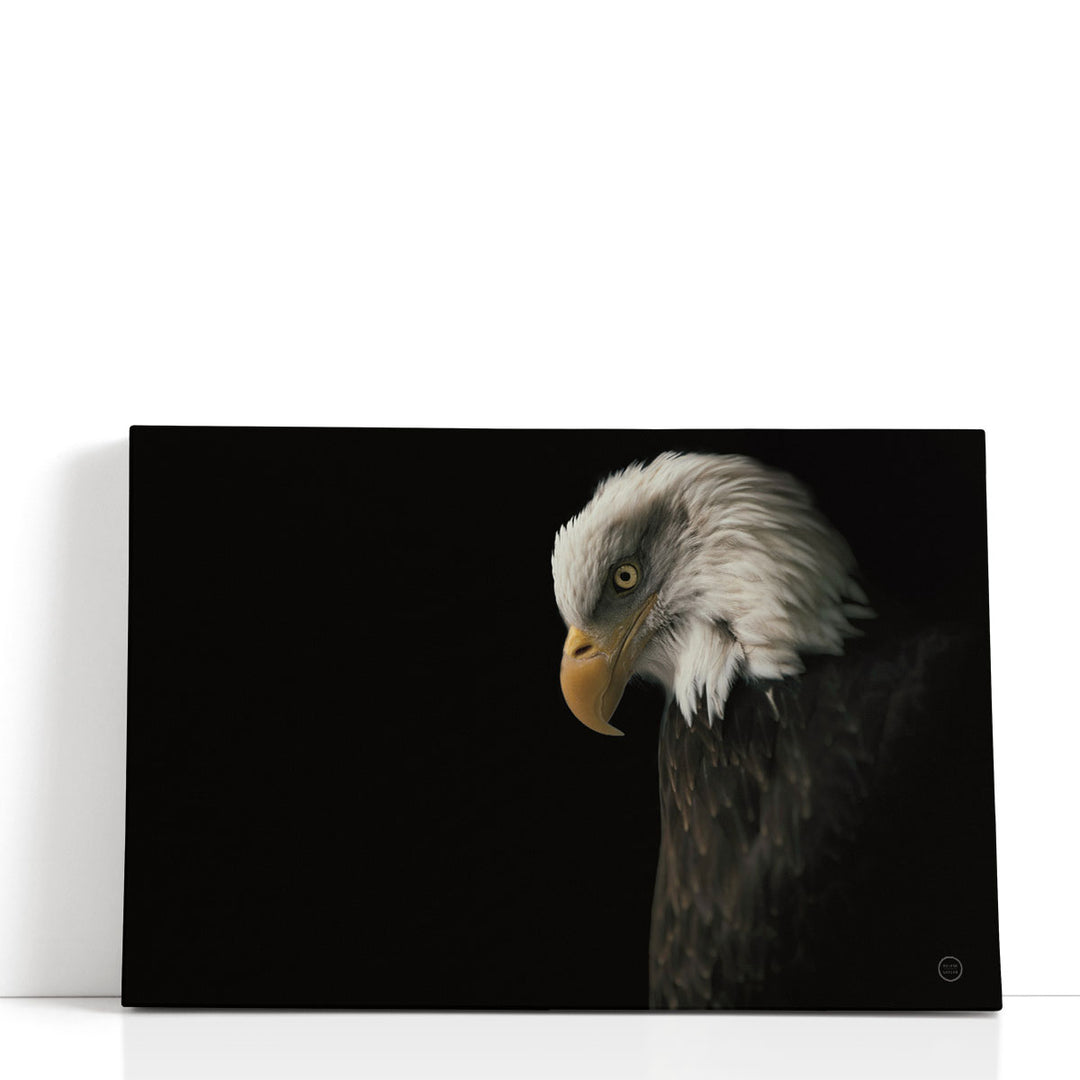 Minimalist animal wall decor featuring wildlife photography