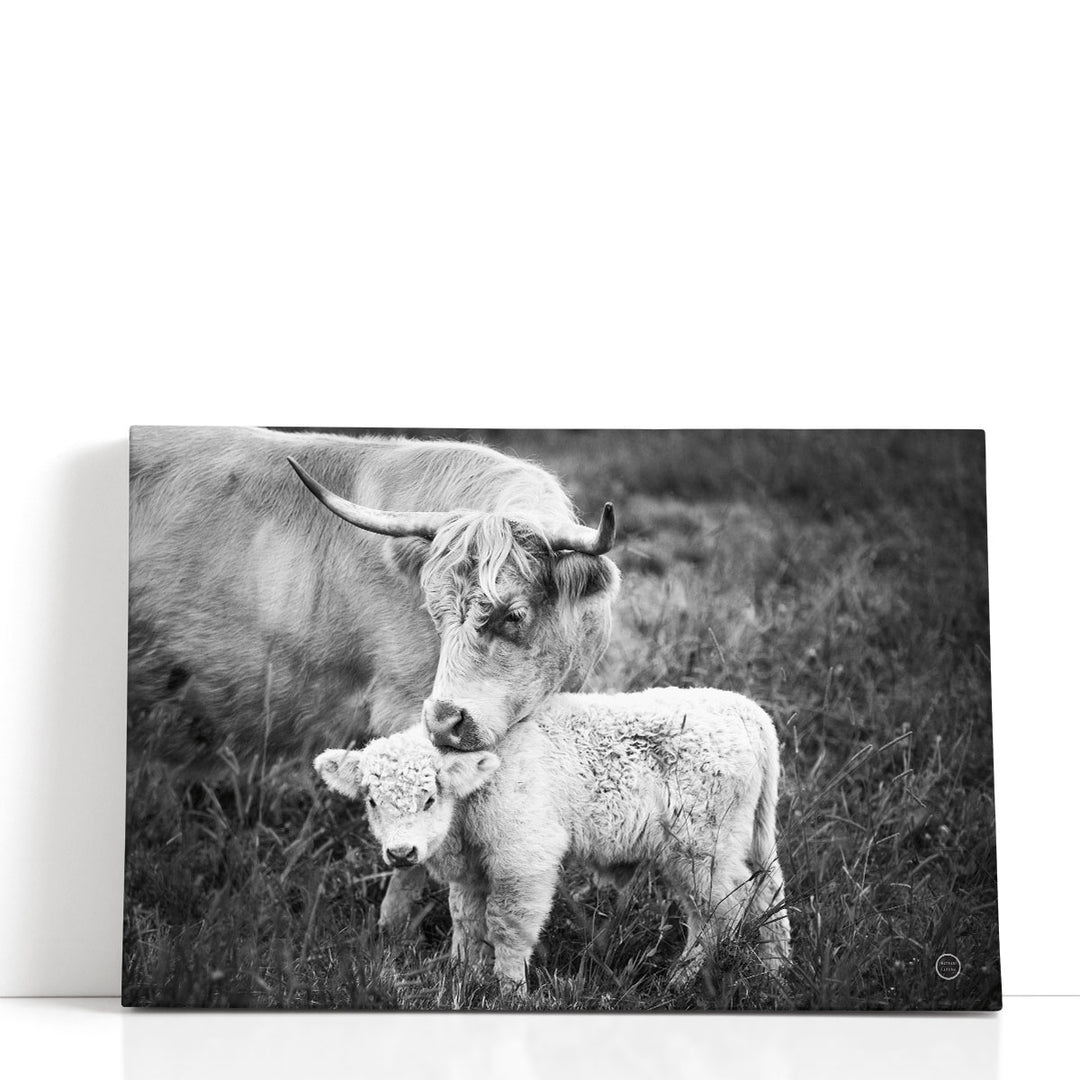 Cow Care Black and White - Canvas Print Wall Art
