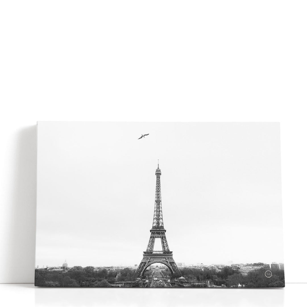 A Birds View of Paris Black and White - Canvas Print Wall Art