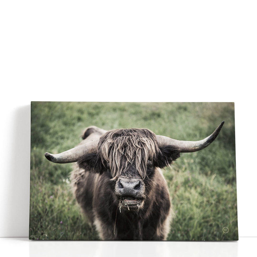What - Canvas Print Wall Art