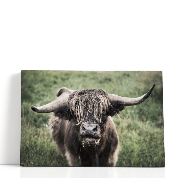 What - Canvas Print Wall Art