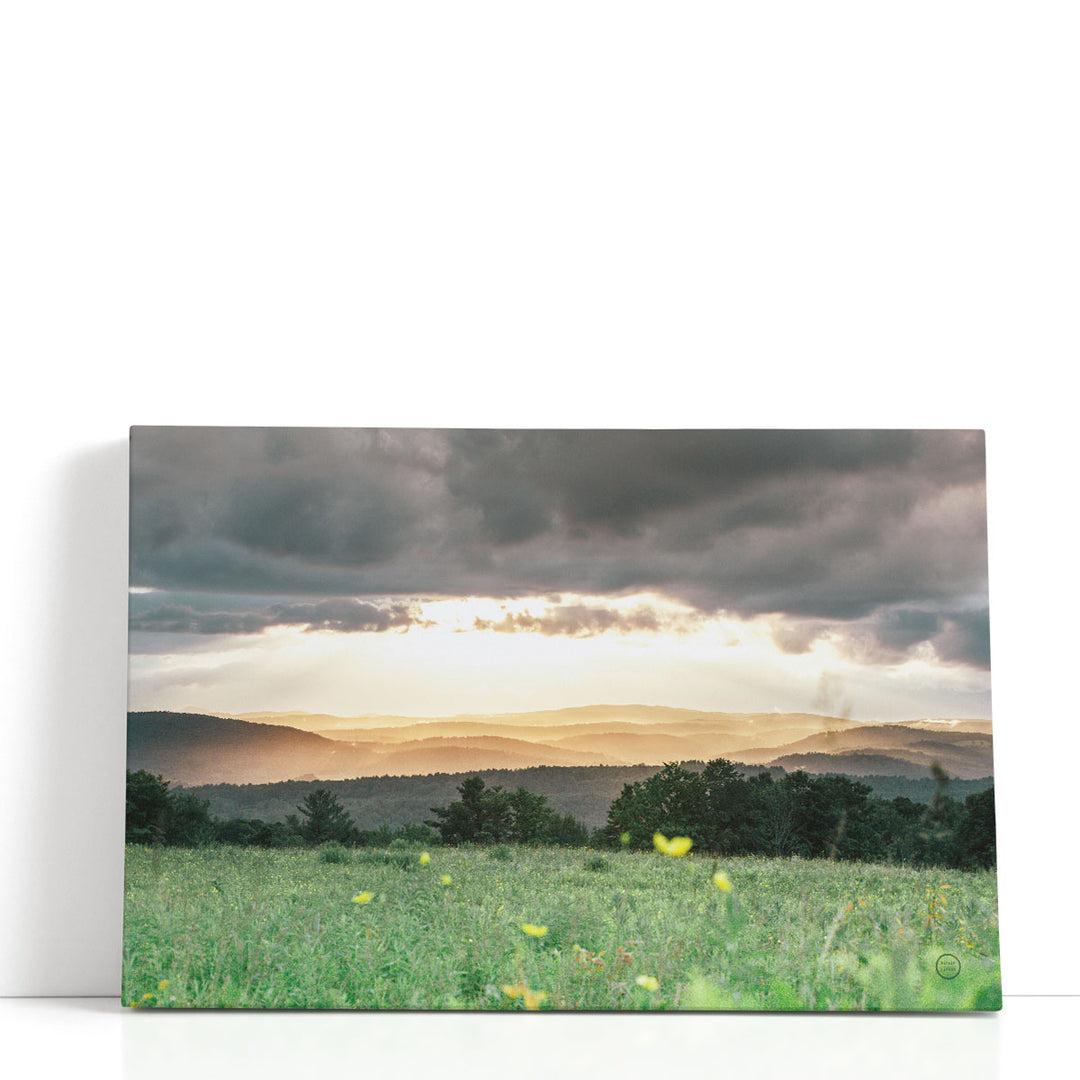 Flower art prints with meadow and cloudy sky