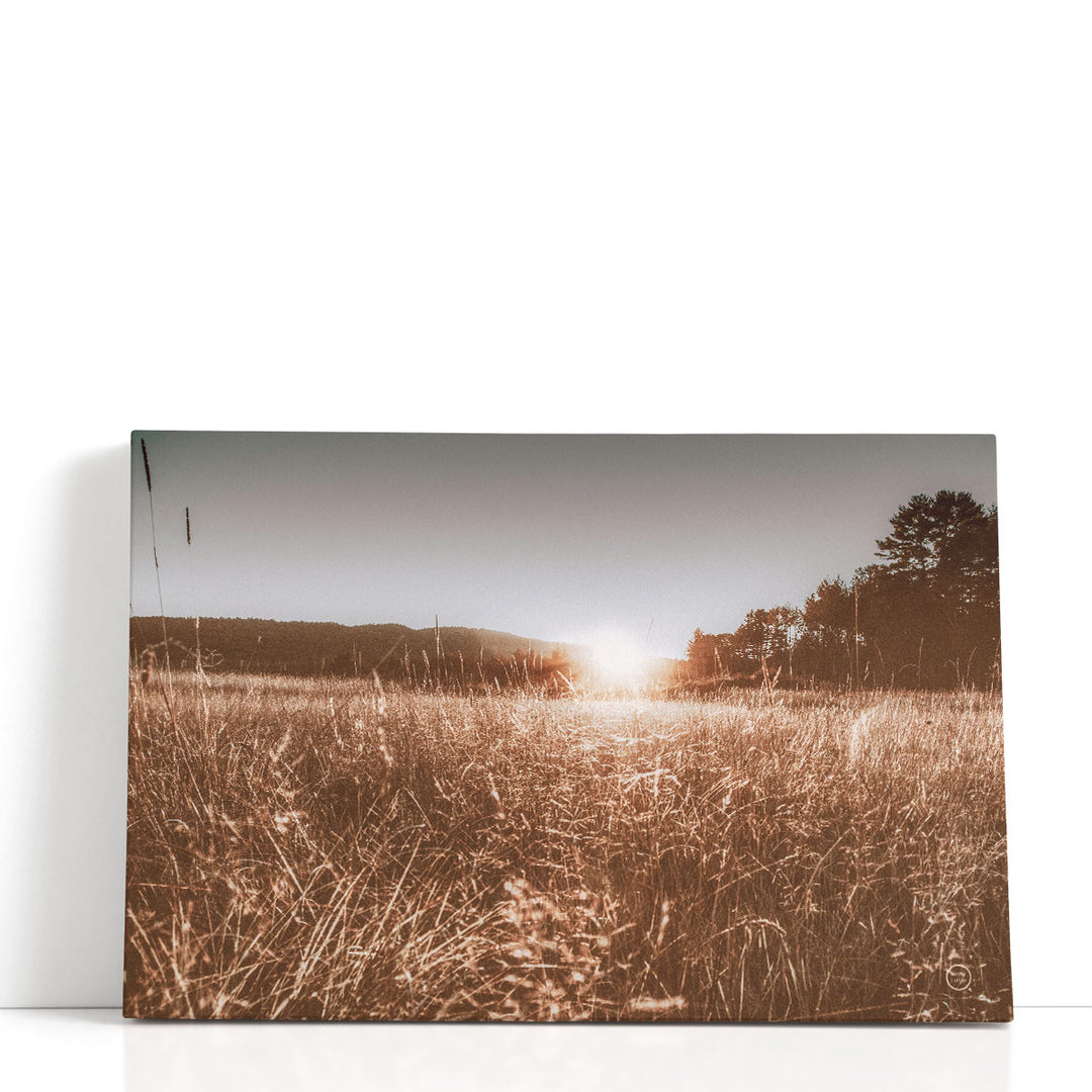 Country wall art with warm tones