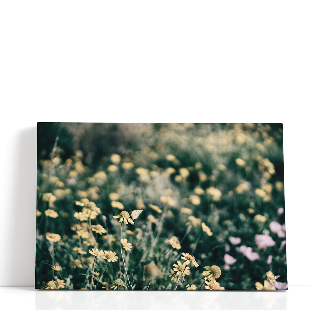 Field Friends Fade - Canvas Print Wall Art
