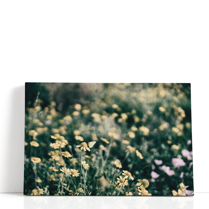 Field Friends Fade - Canvas Print Wall Art