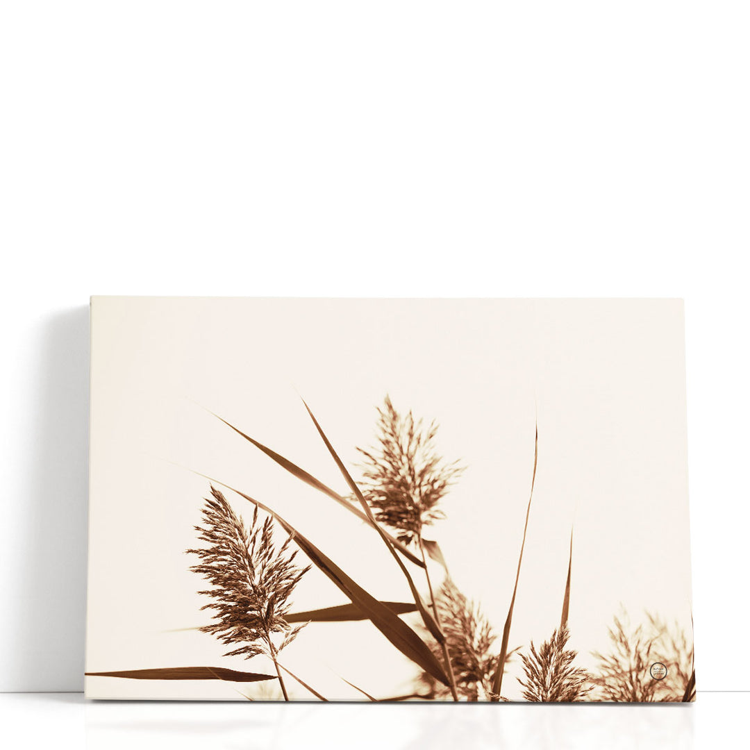 Country Grasses I - Canvas Print Wall Art