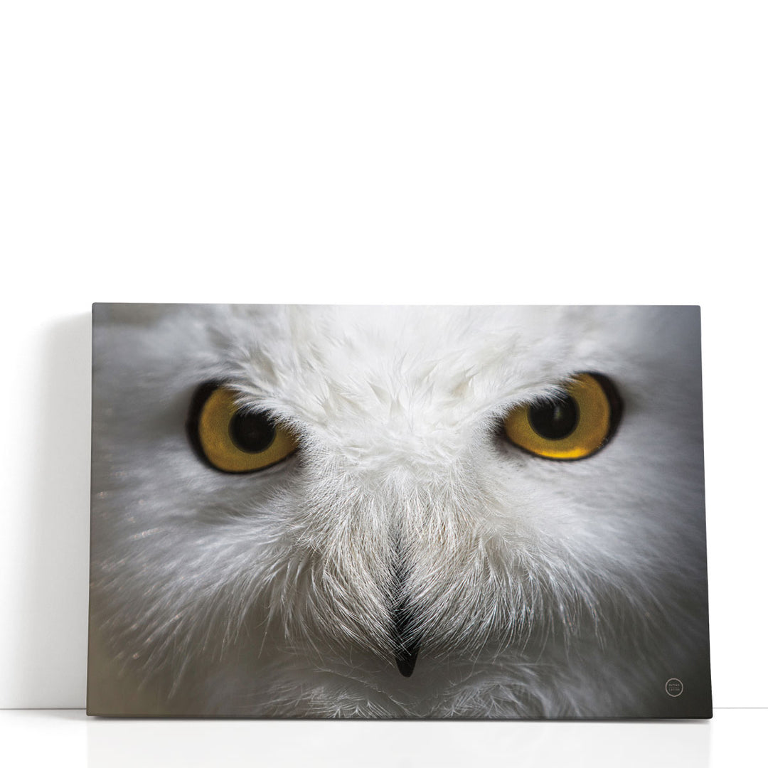 Animal canvas wall art with wildlife imagery