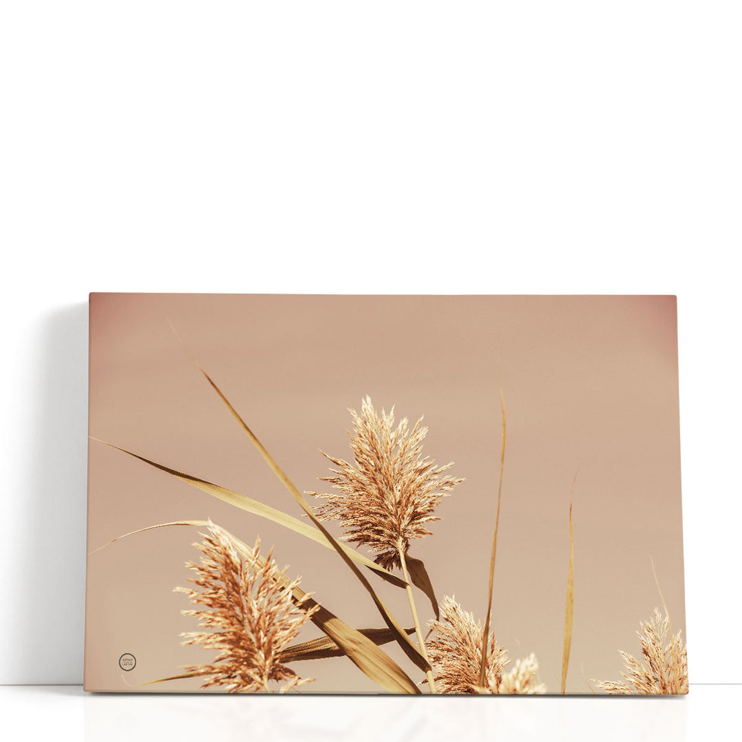 Noon Grasses III - Canvas Print Wall Art