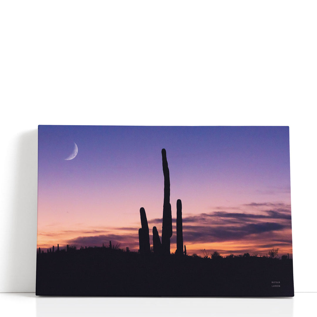 Desert Moons - Canvas Print Wall Art