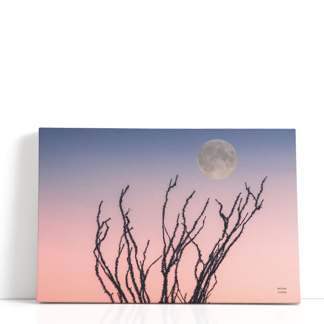 Reaching Up Moon - Canvas Print Wall Art
