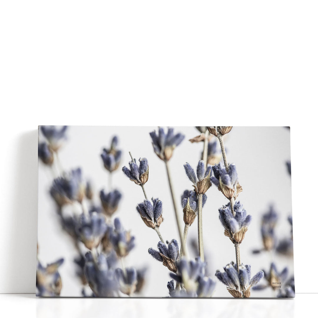 Lavender Bouquet - Canvas Print Wall Art