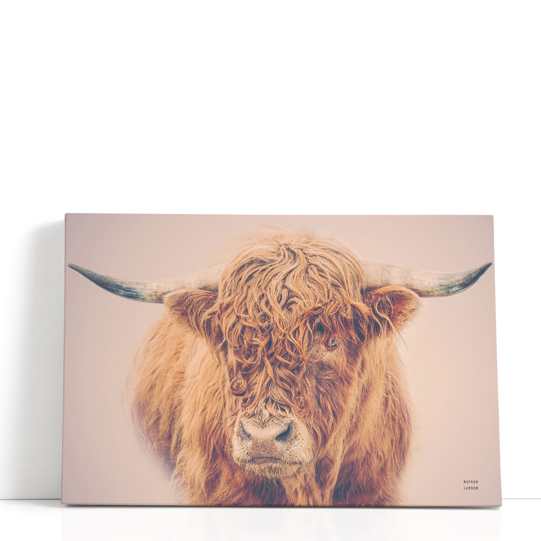 Highland in the Winter Fog - Canvas Print Wall Art