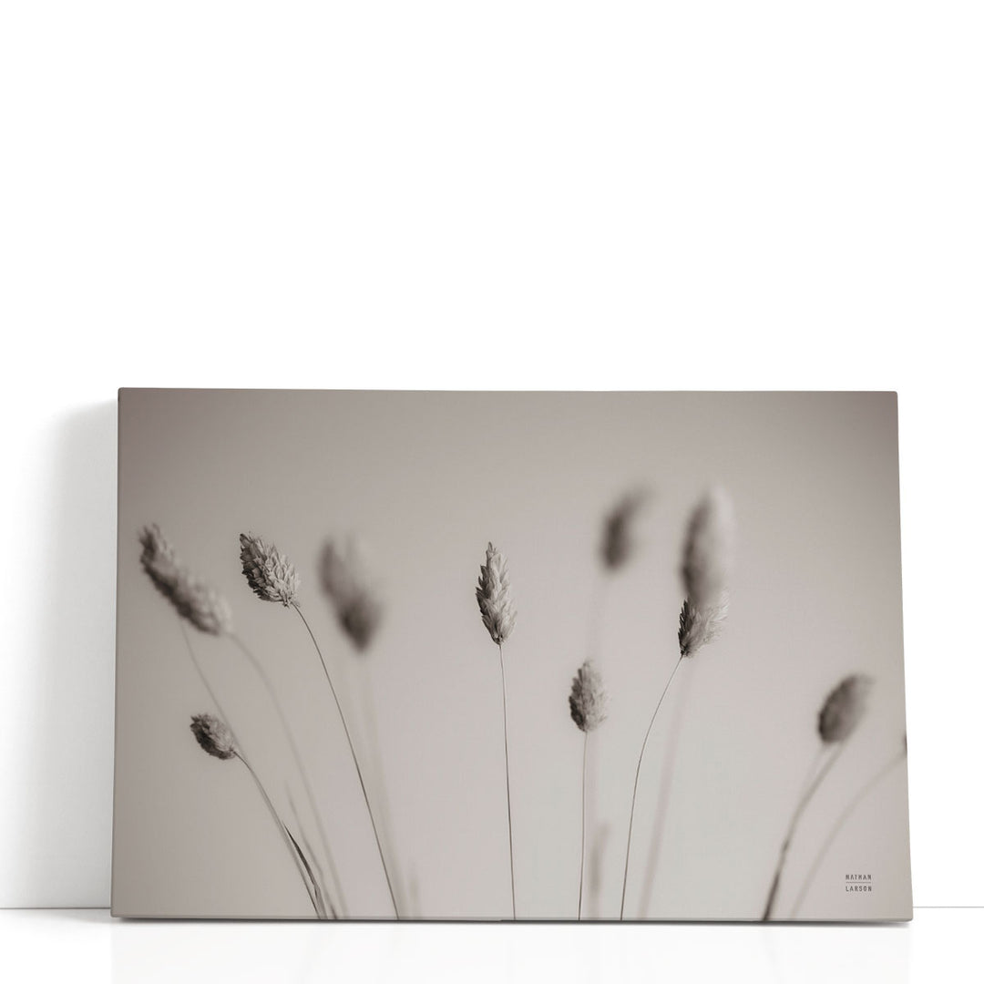 Natural Grasses - Canvas Print Wall Art