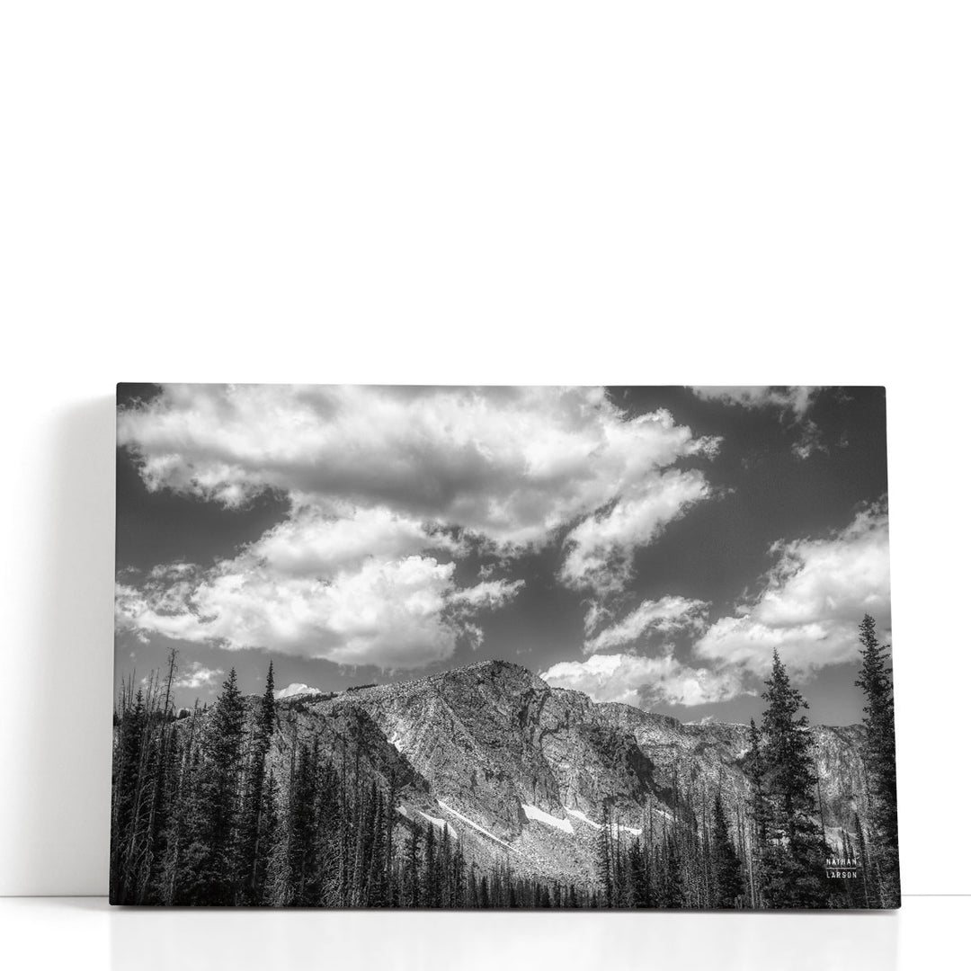 Wyoming Blues Black and White - Canvas Print Wall Art
