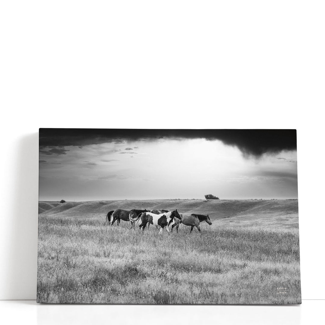 Sunset Rains - Canvas Print Wall Art