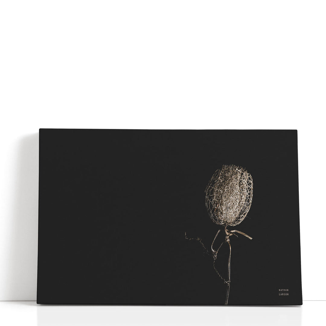 Minimalist photography still life with black tones