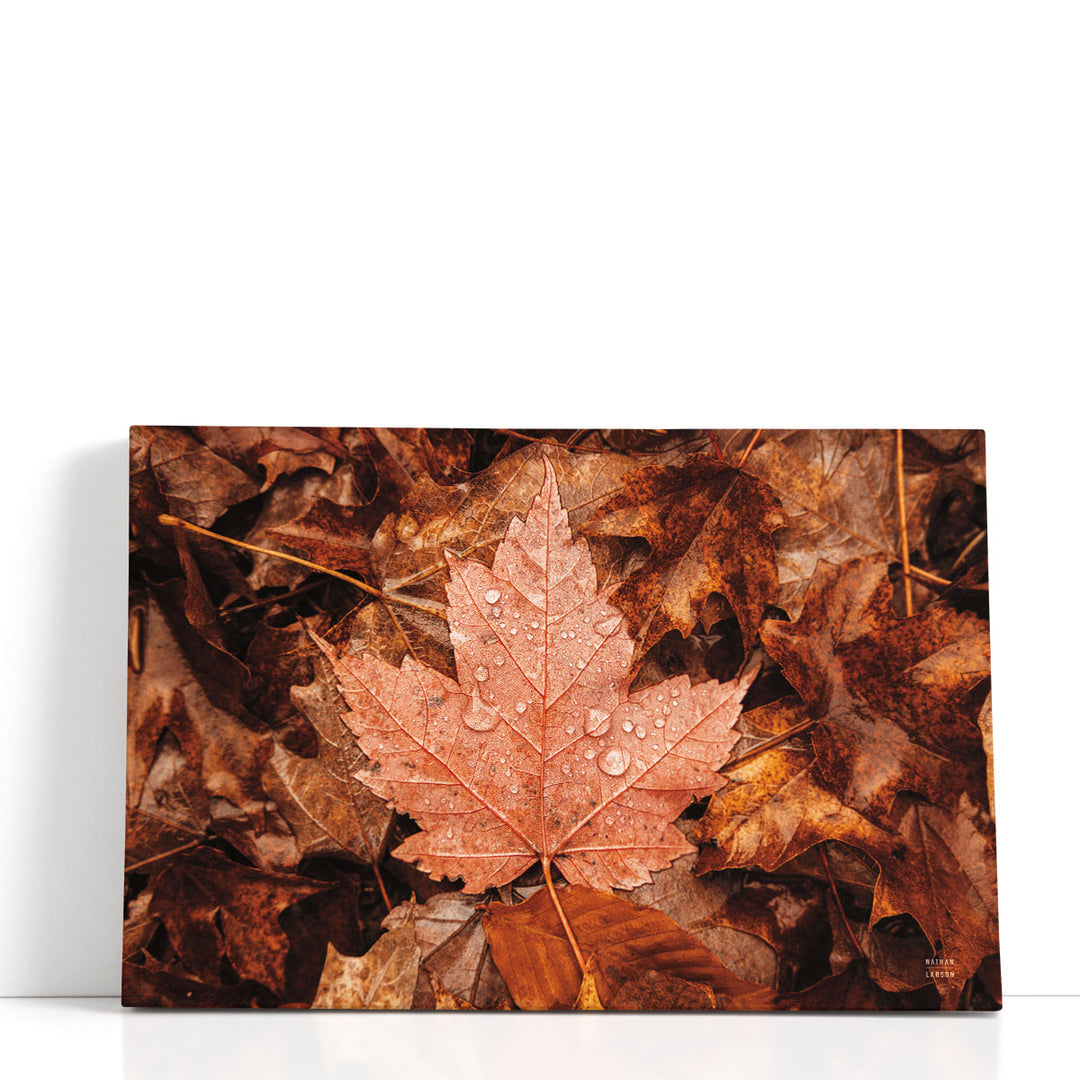 Fall Rains I - Canvas Print Wall Art