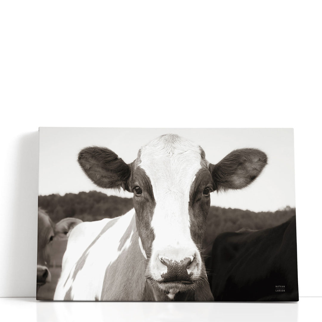 At the Barn Black and White - Canvas Print Wall Art