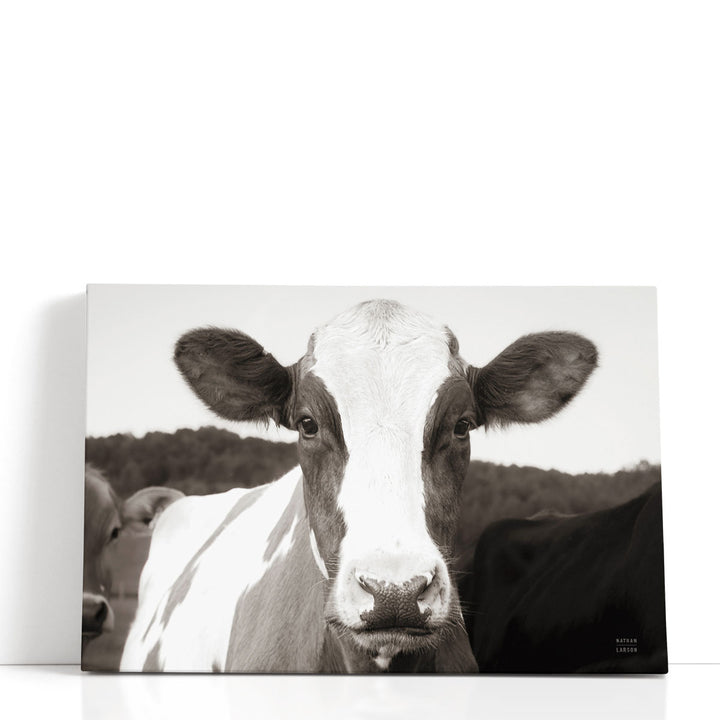 At the Barn Black and White - Canvas Print Wall Art