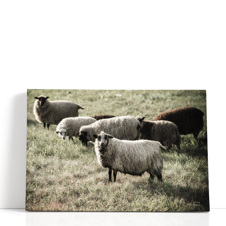 Pastures - Canvas Print Wall Art