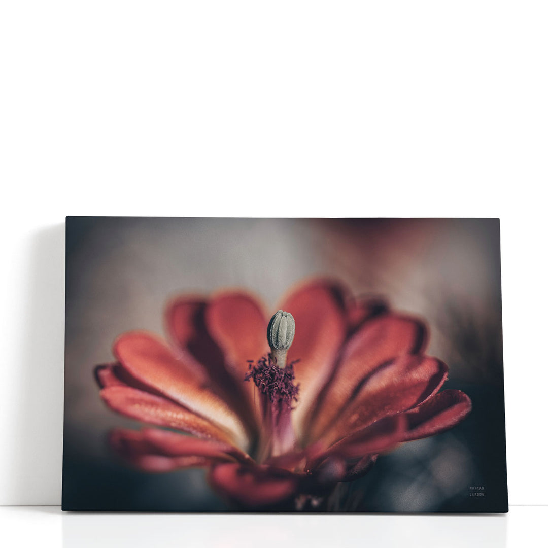 Elevation Bloom - Canvas Print Wall Art