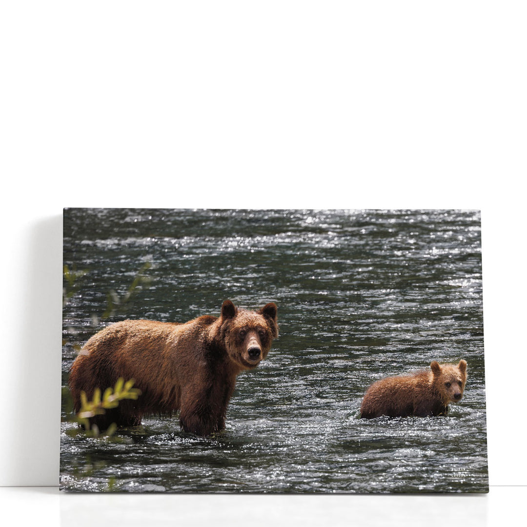 Crossing - Canvas Print Wall Art