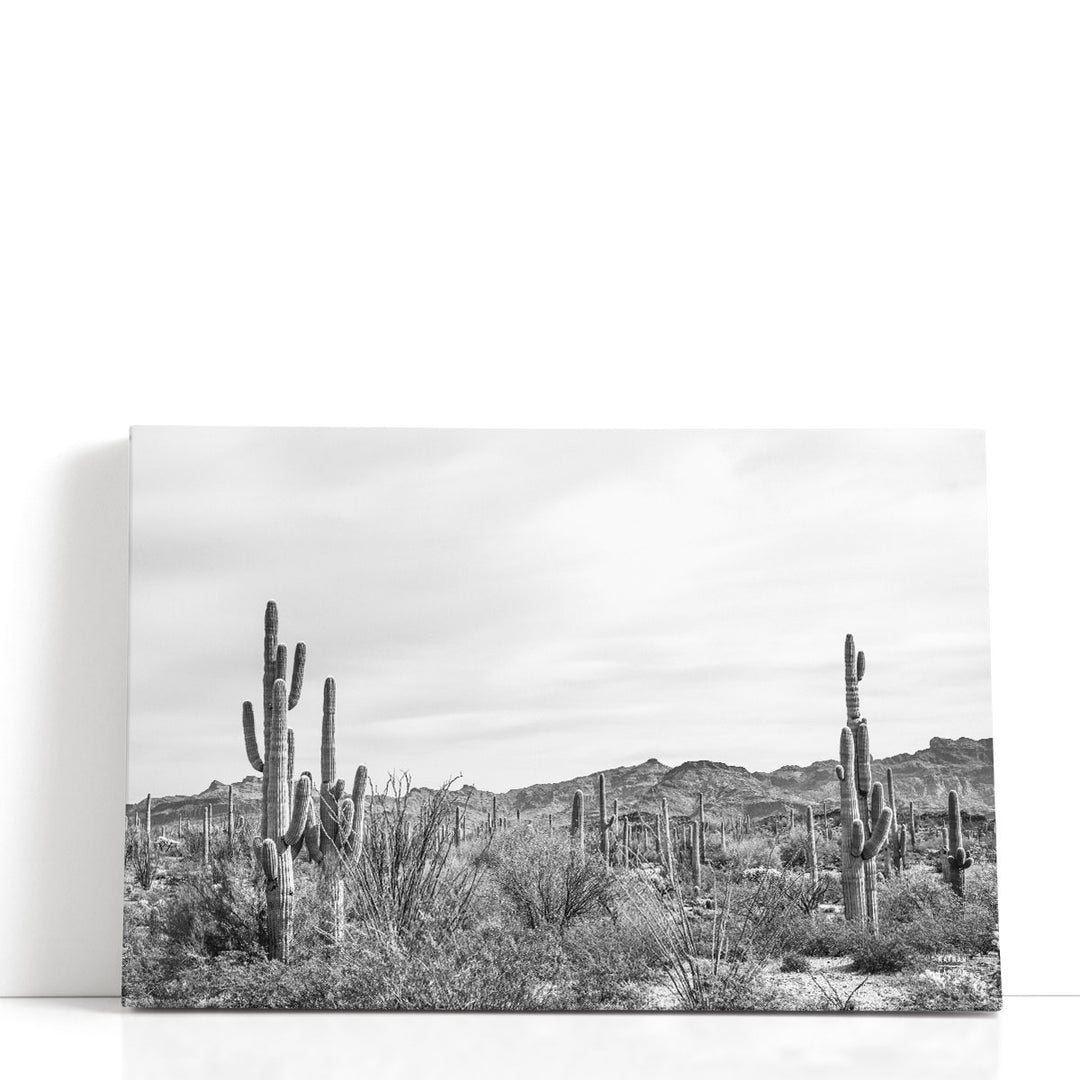 Sonoran Wonderland Black and White - Canvas Print Wall Art