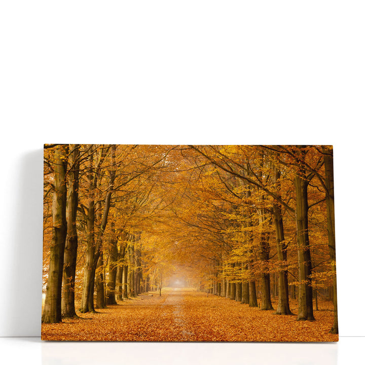 Autumn Trees - Canvas Print Wall Art