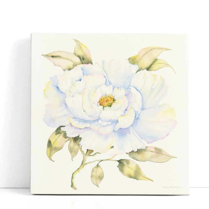 Peony - Canvas Print Wall Art