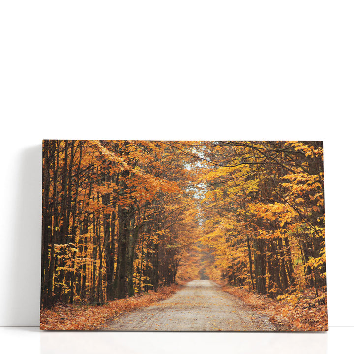 Autumn Country Road - Canvas Print Wall Art
