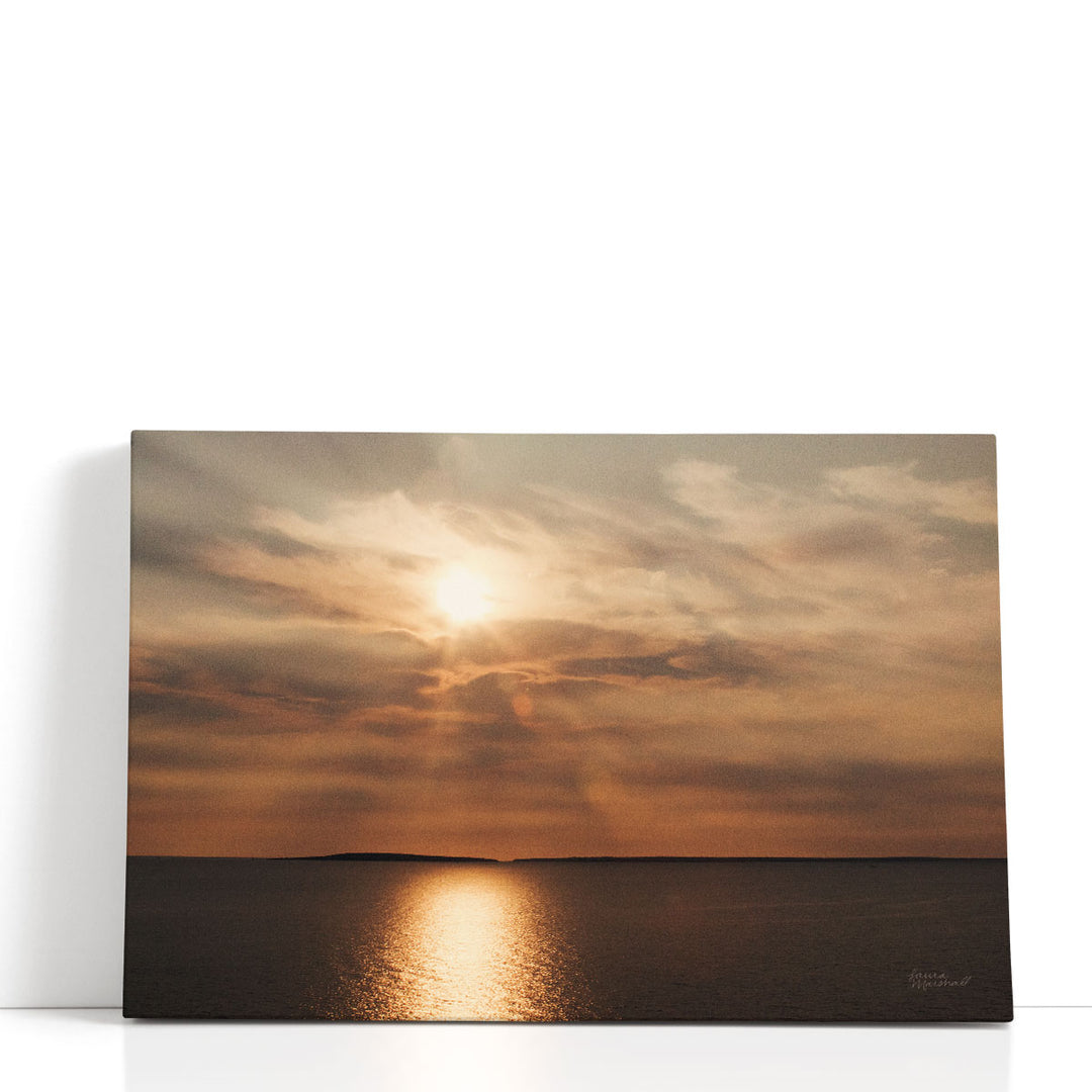 Morning Spotlight - Canvas Print Wall Art
