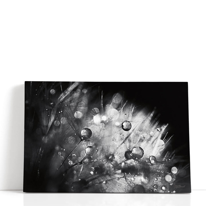 Floral abstract art with dandelion details