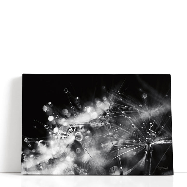 Abstract floral wall art in black and white
